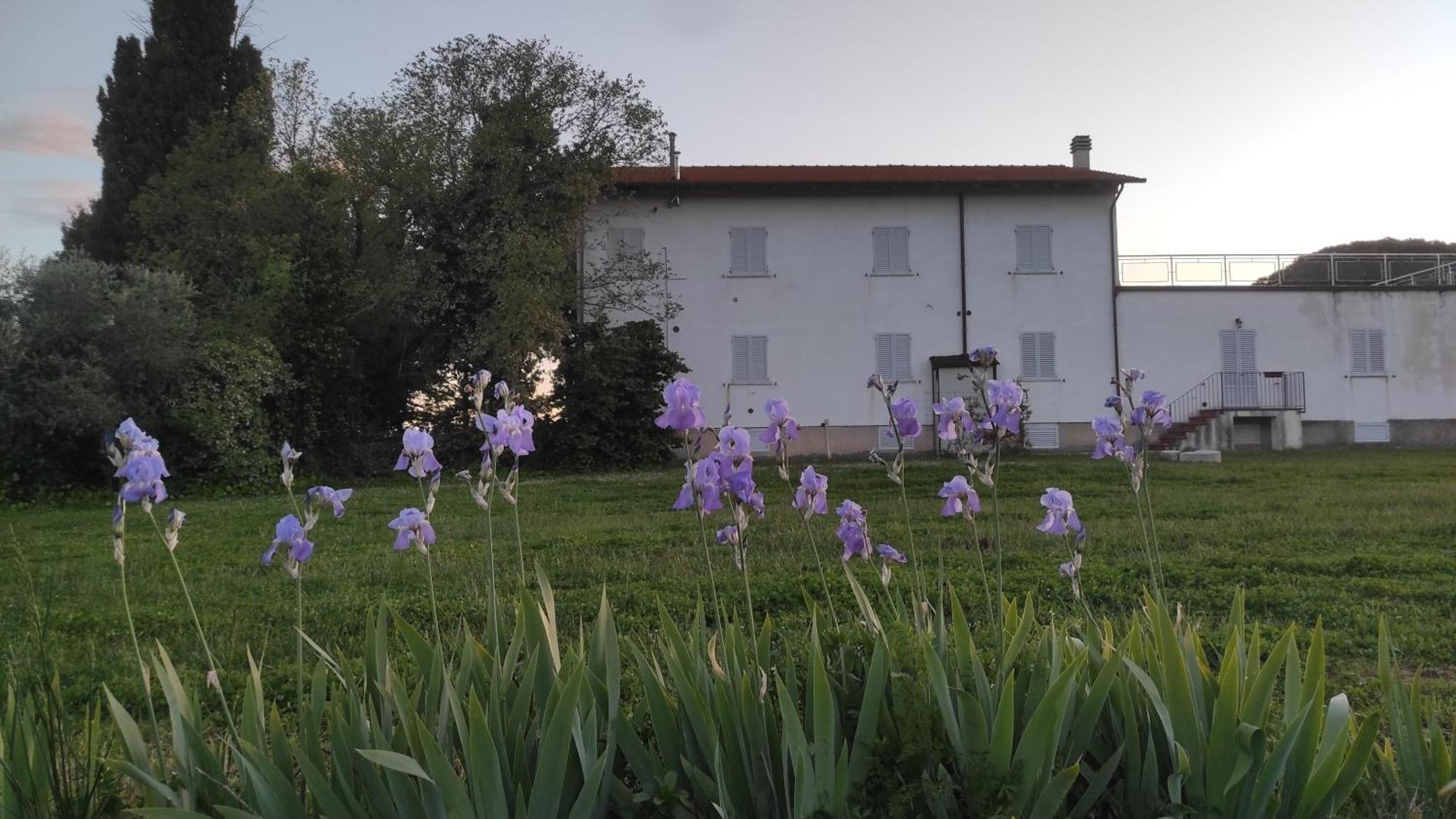 Villa Borgo Iris Pietraia Exterior foto